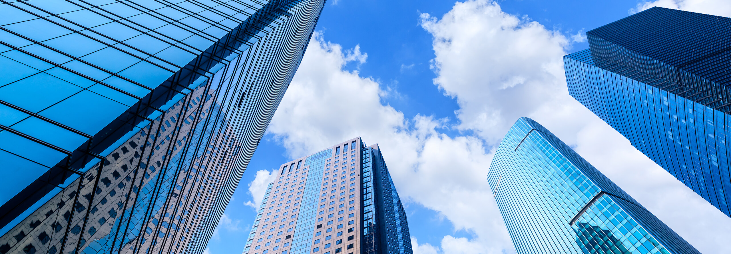 「人と企業をつなぐ」の、その先へ。